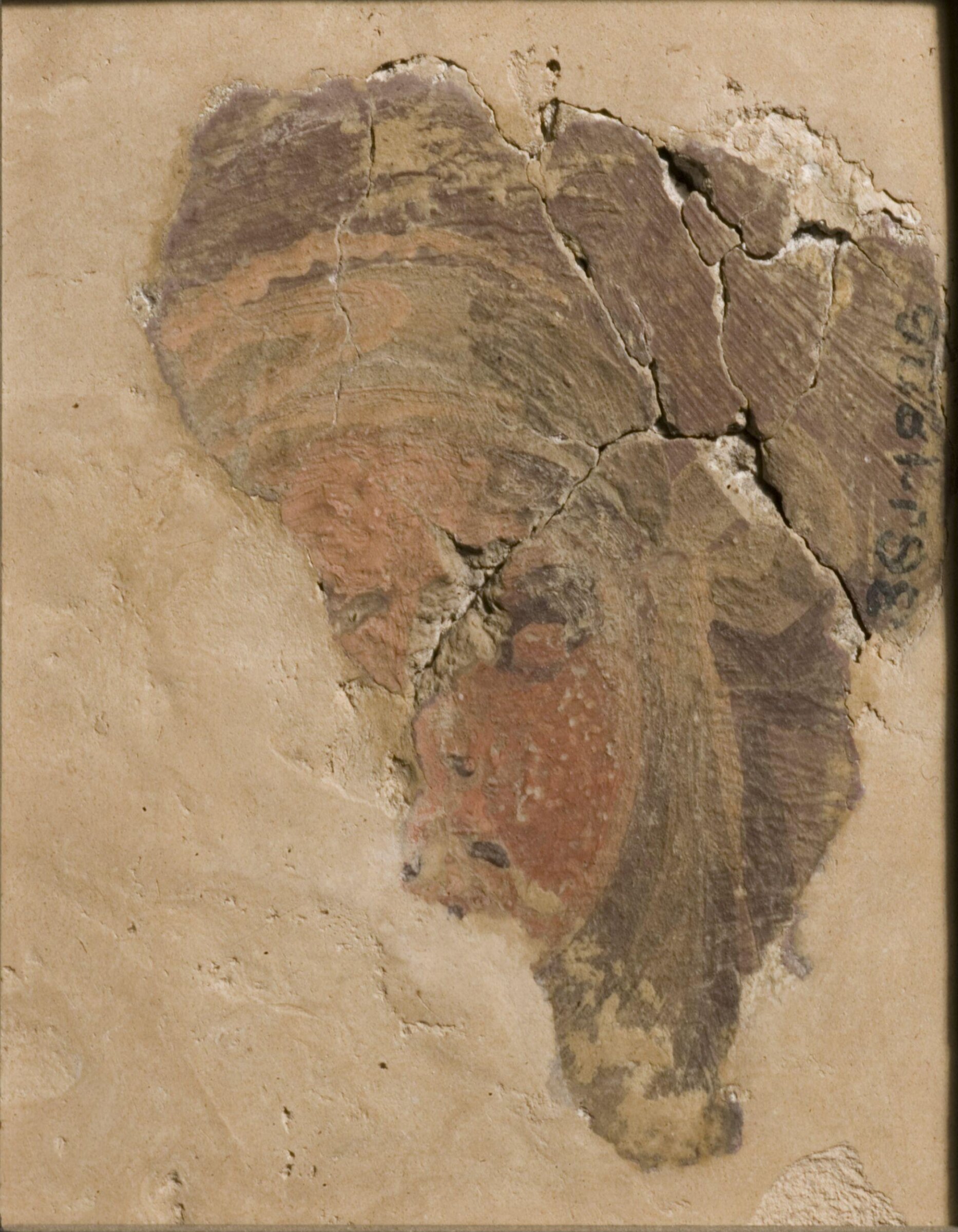 Small Fragment of a Head (fragment of wall decoration), Giovanni da Udine, mid 16th century