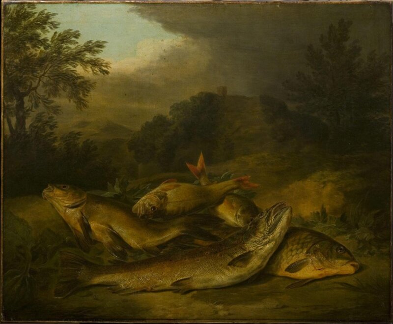 A Group of Fish Lying on the Ground