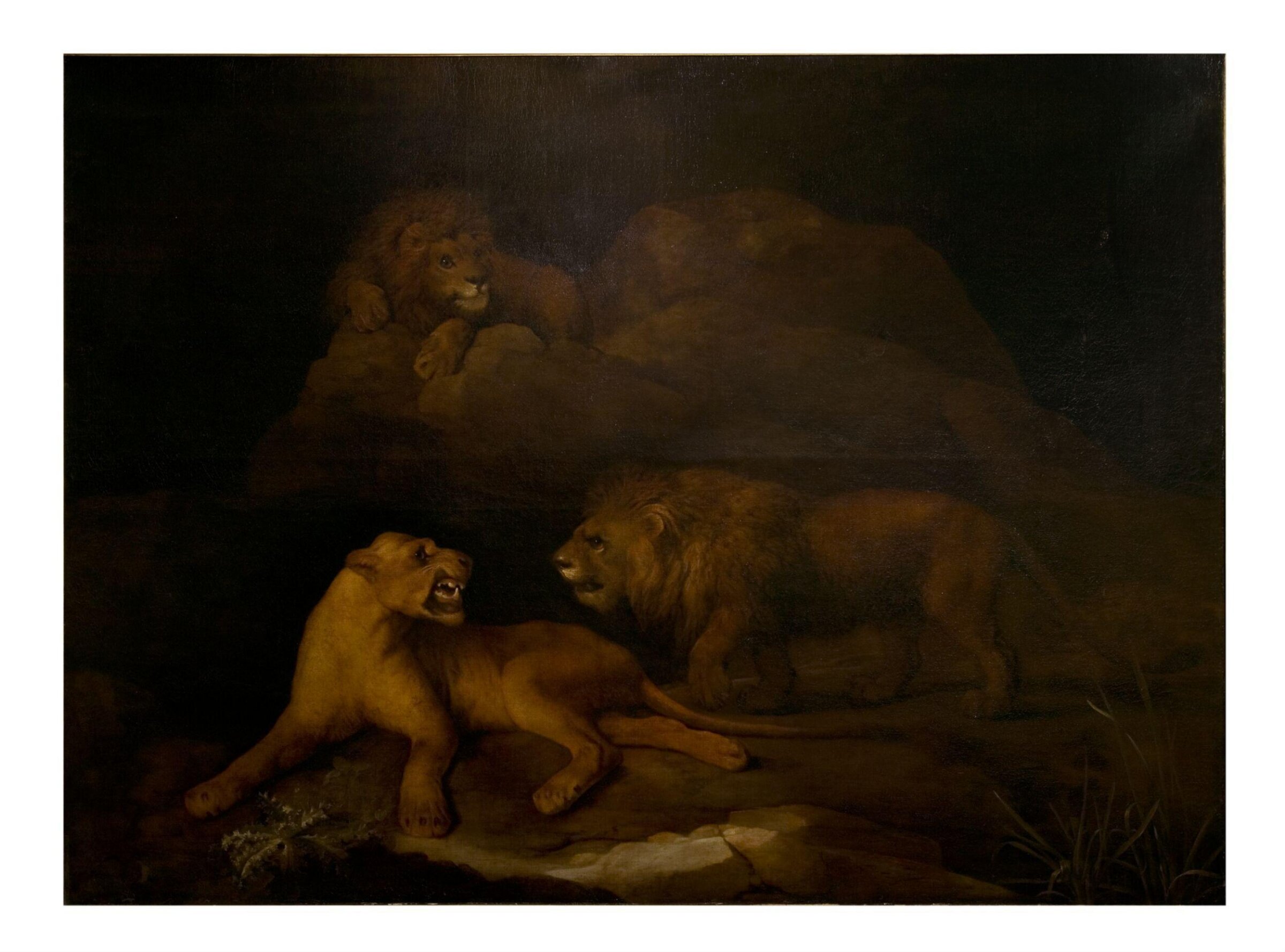 Lions and lioness: rocky background, George Stubbs, 1776