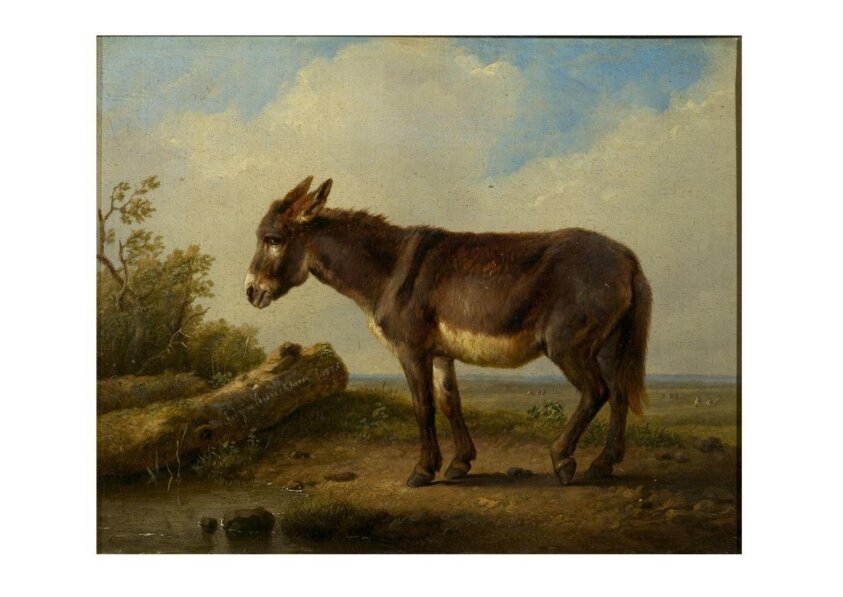 Landscape with donkey