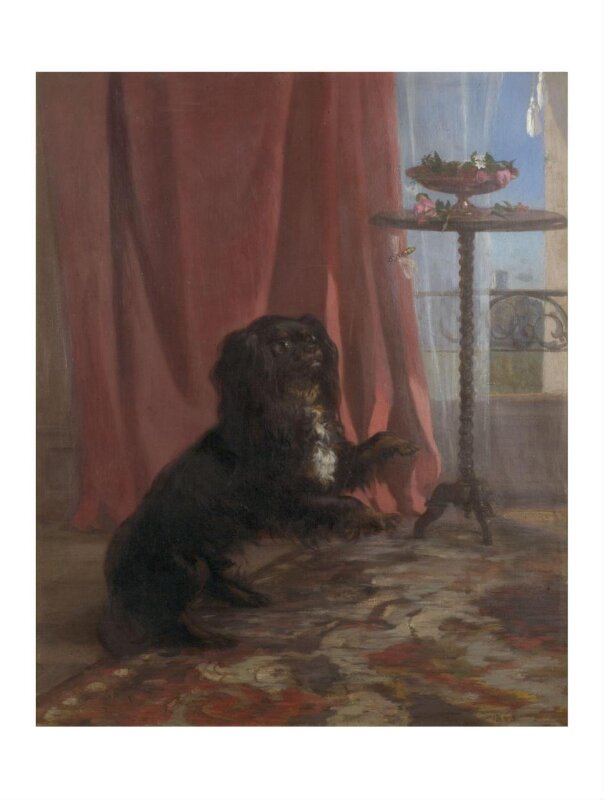 The Reverend Townshend's Dog
