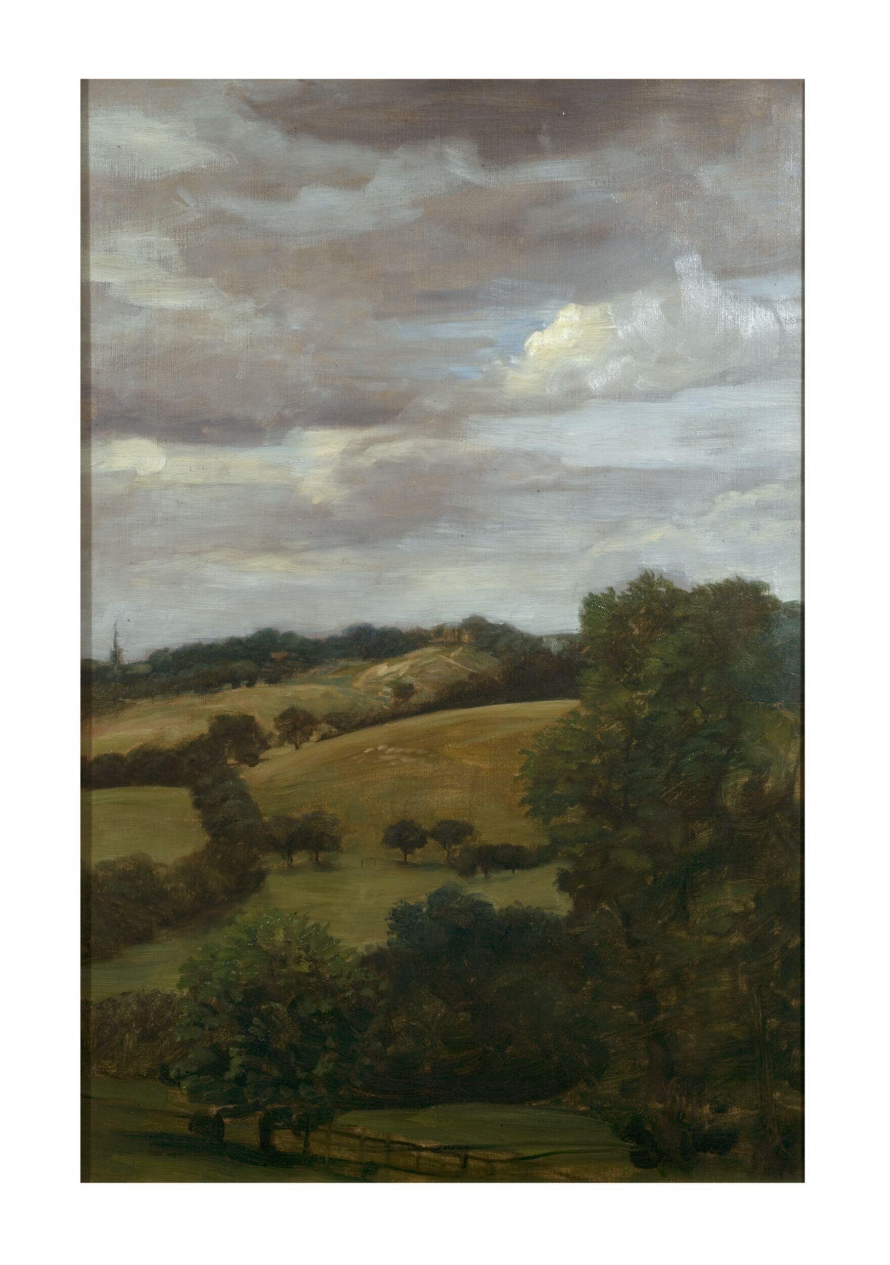 Hilly Landscape