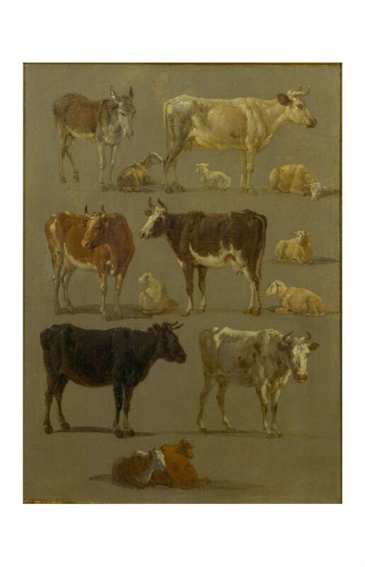 Studies of Animals: Cows and Oxen, Sheep and a Donkey