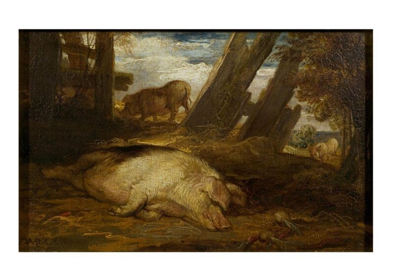 Pigs