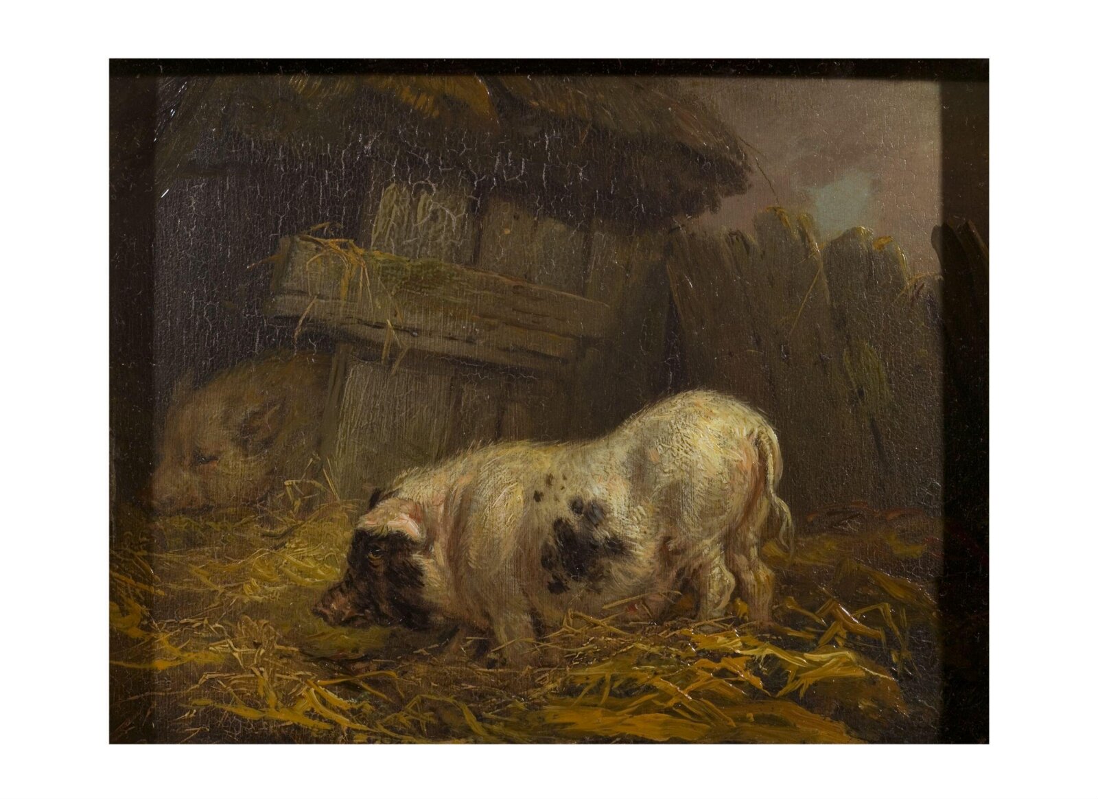 A Chinese Sow, James Ward, early 19th century-1855