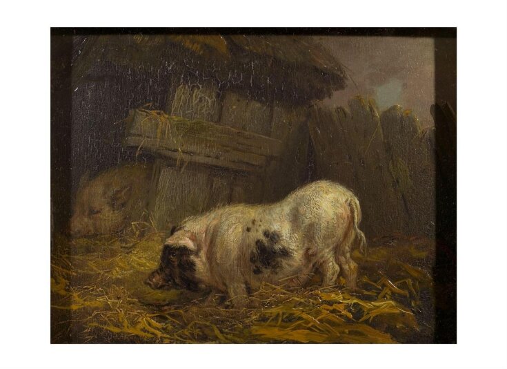 A Chinese Sow top image