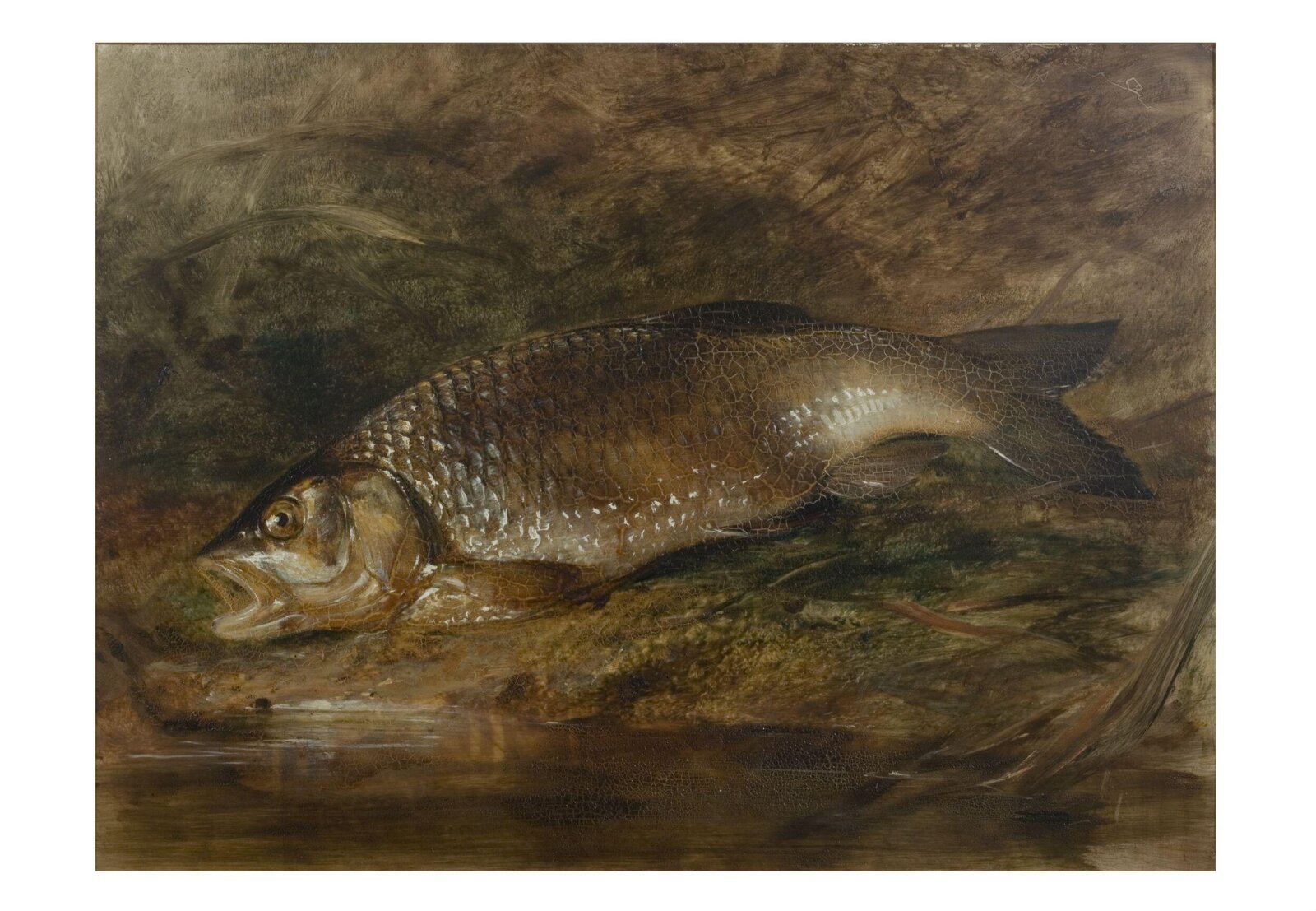 Chub, Edward William Cooke, pre 1857