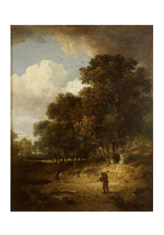 A Woody landscape