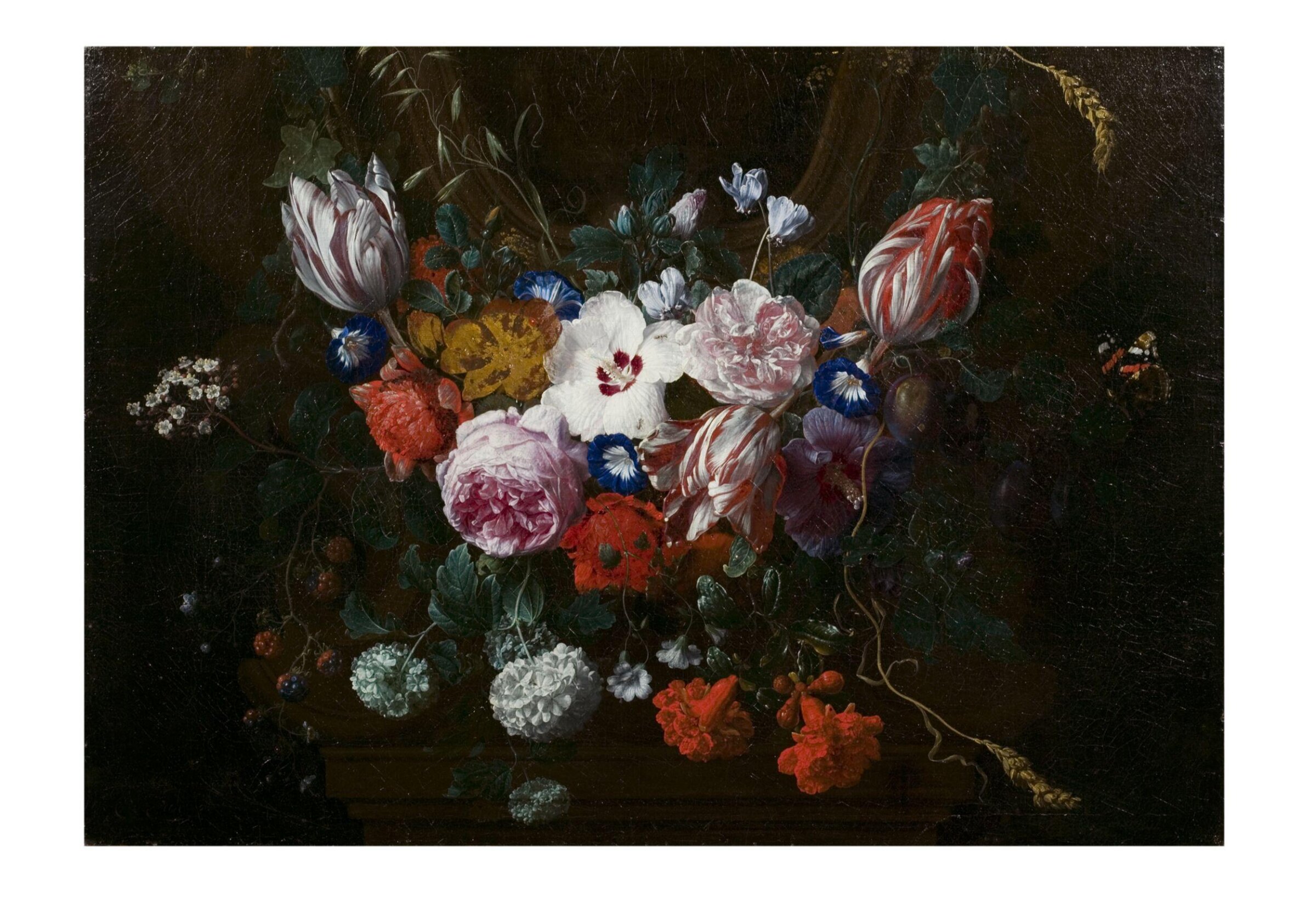 Flowers beneath a Cartouche, Nicolas van Veerendael, 1676