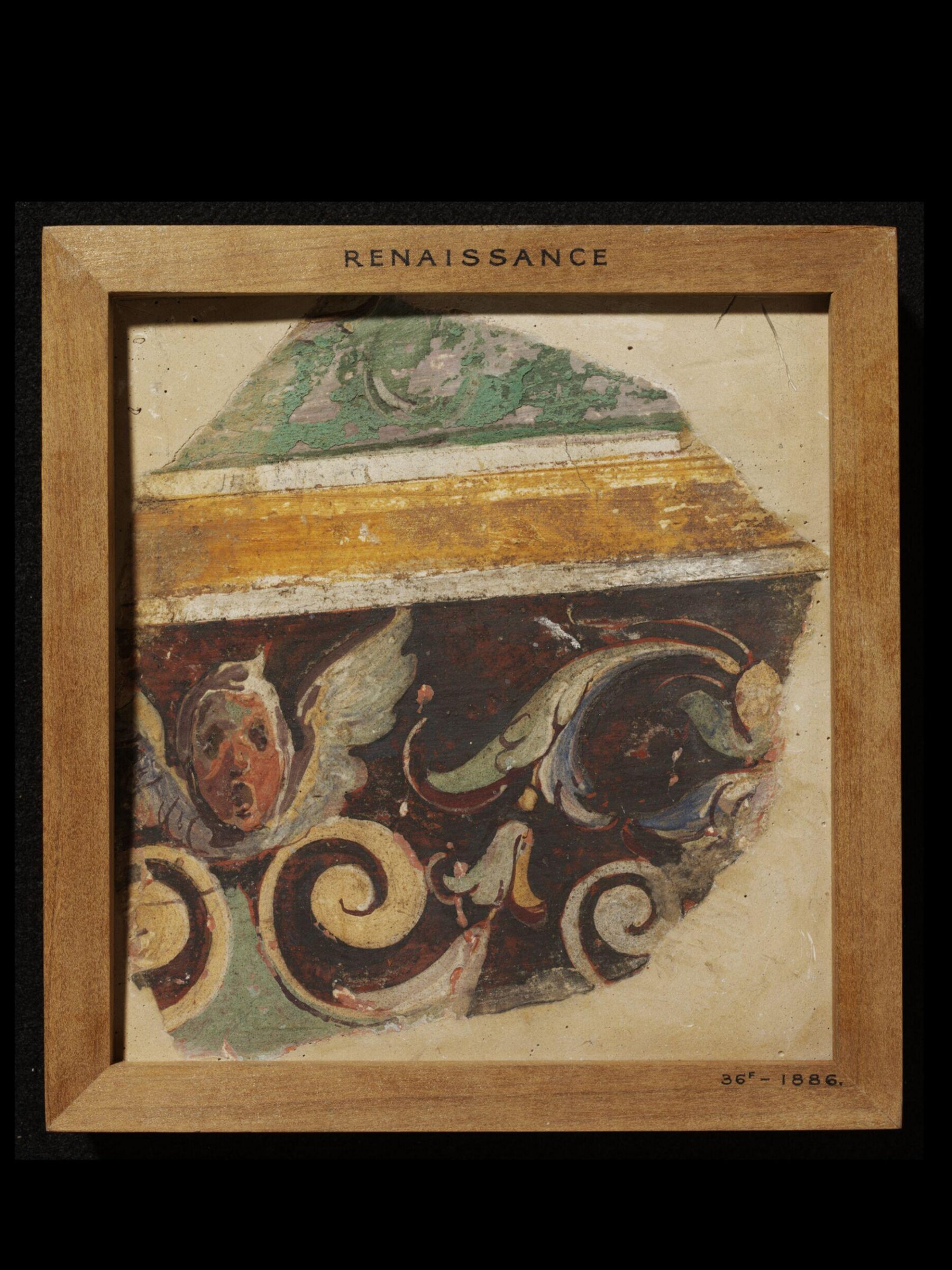 Decorative Pattern (fragment of wall decoration), Giovanni da Udine, mid 16th century