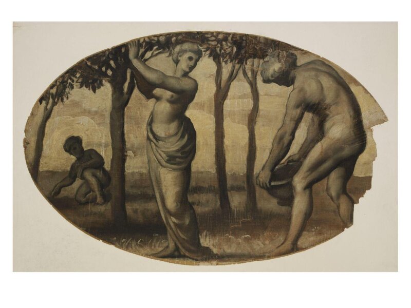 Harvesting fruit
