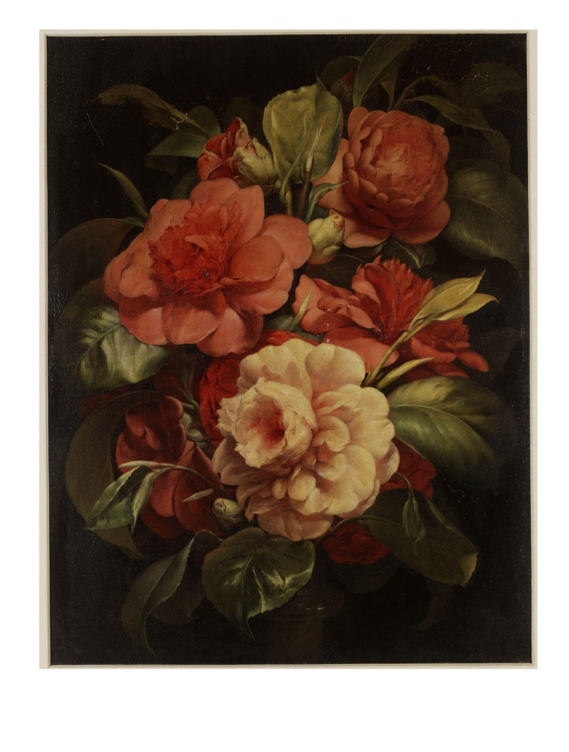 Camellias, Sir John Charles Robinson, ок. 1850