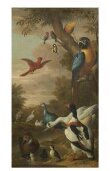 Farm birds with a macaw and a tom-tit in a tree thumbnail 2