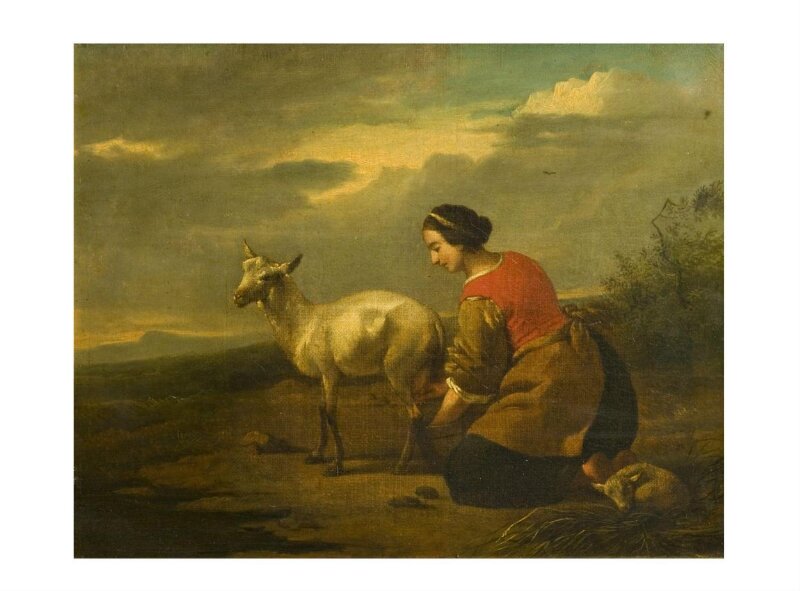 Woman Milking a Ewe