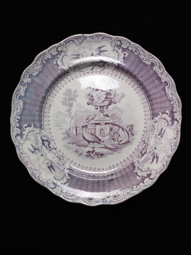 Plate top image