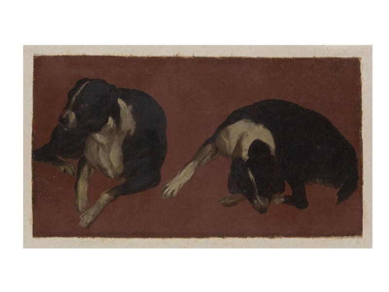 Two Studies of a Dog