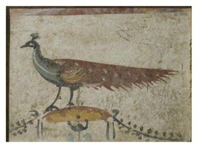 A Peacock, 2nd century