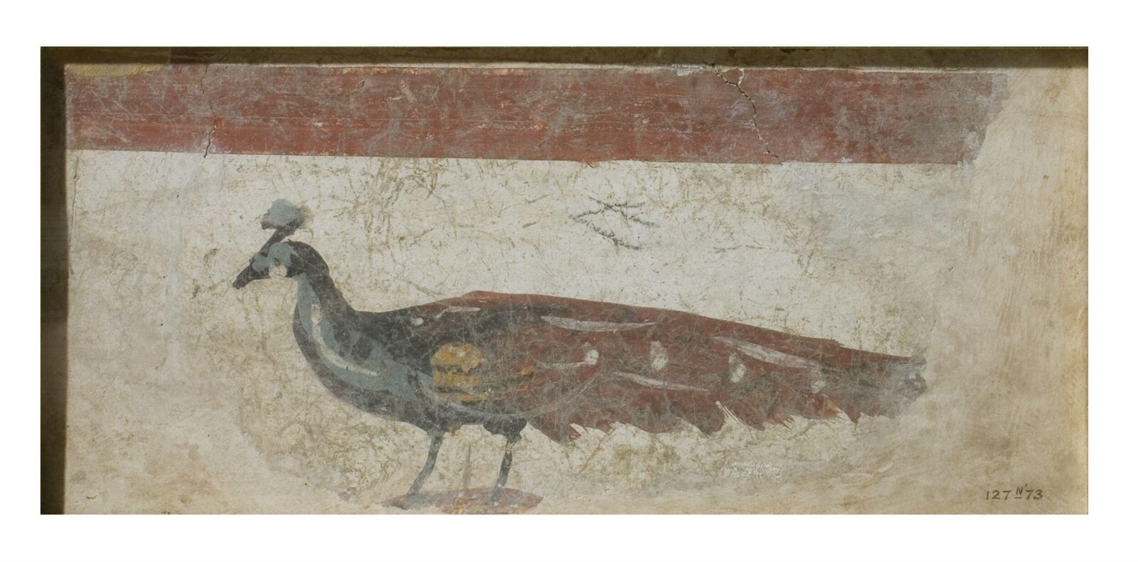 A Peacock, 2nd century