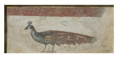 A Peacock, 2nd century