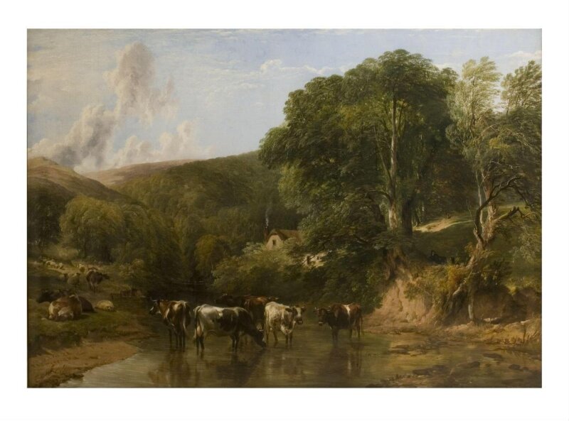 Wooded glen