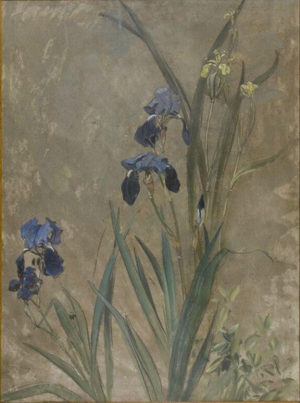 Irises (fire screen)