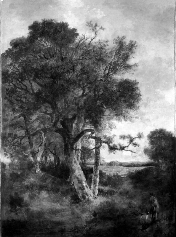 On the skirts of the forest