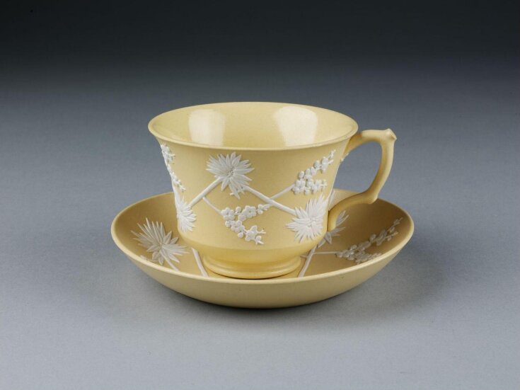 Cup and Saucer top image