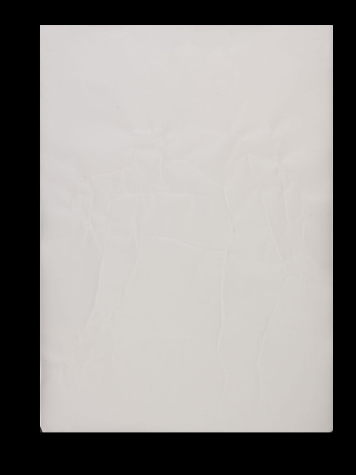 Untitled, Claudia Casarino, 2004
