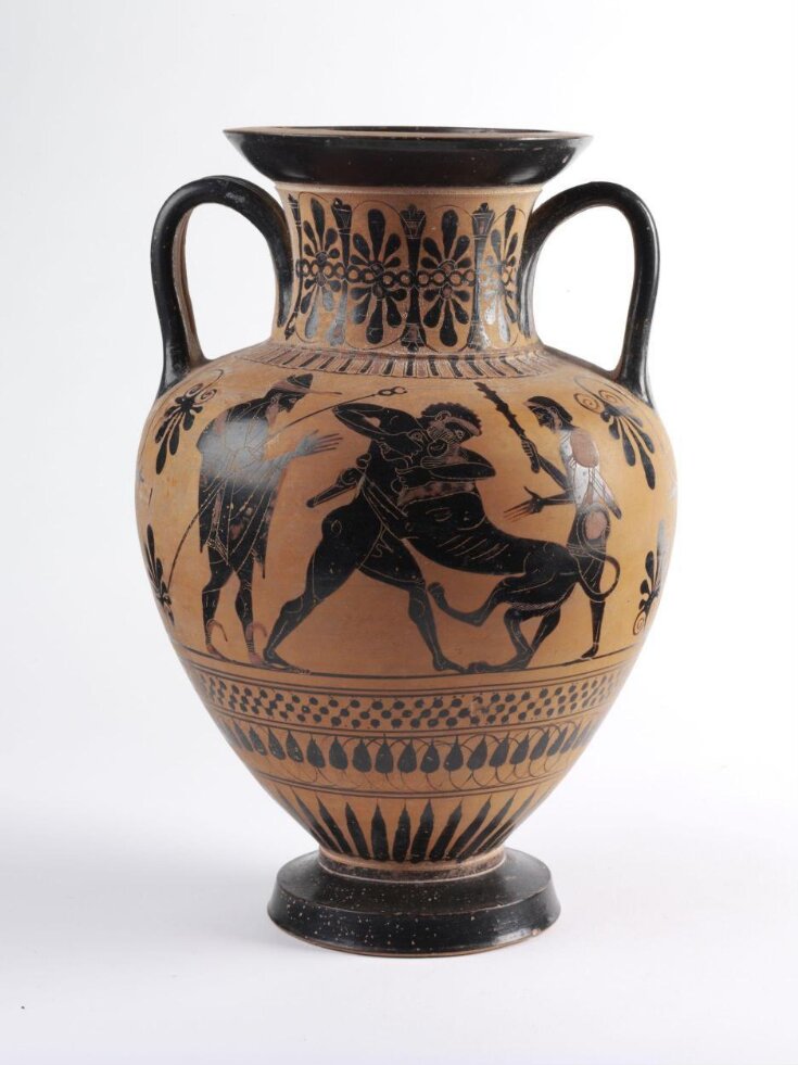 Amphora top image