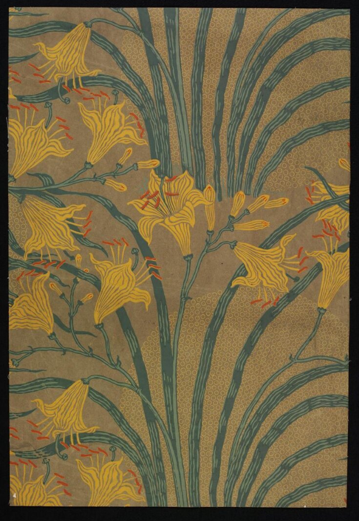 Day Lily top image