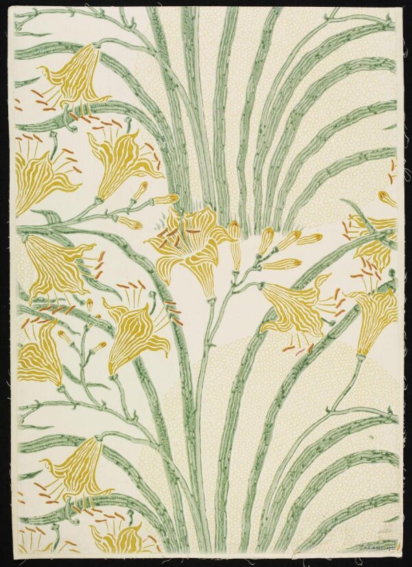 Day Lily | Crane, Walter | V&A Explore The Collections
