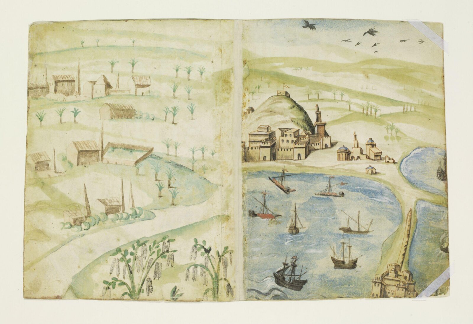 Watercolour, ca. 1510-1520