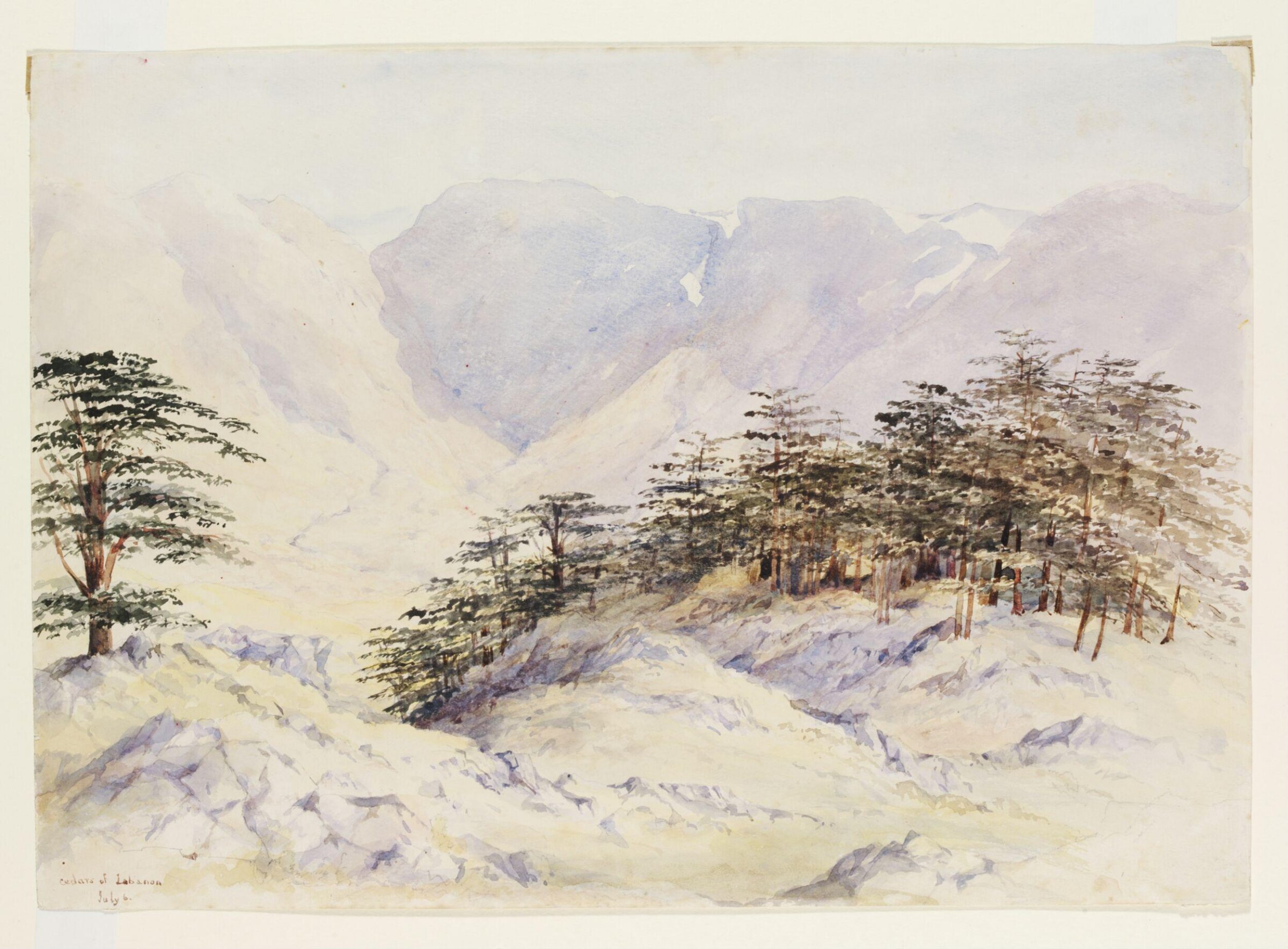Cedars of Lebanon, Maria Harriett Mathias, 1857