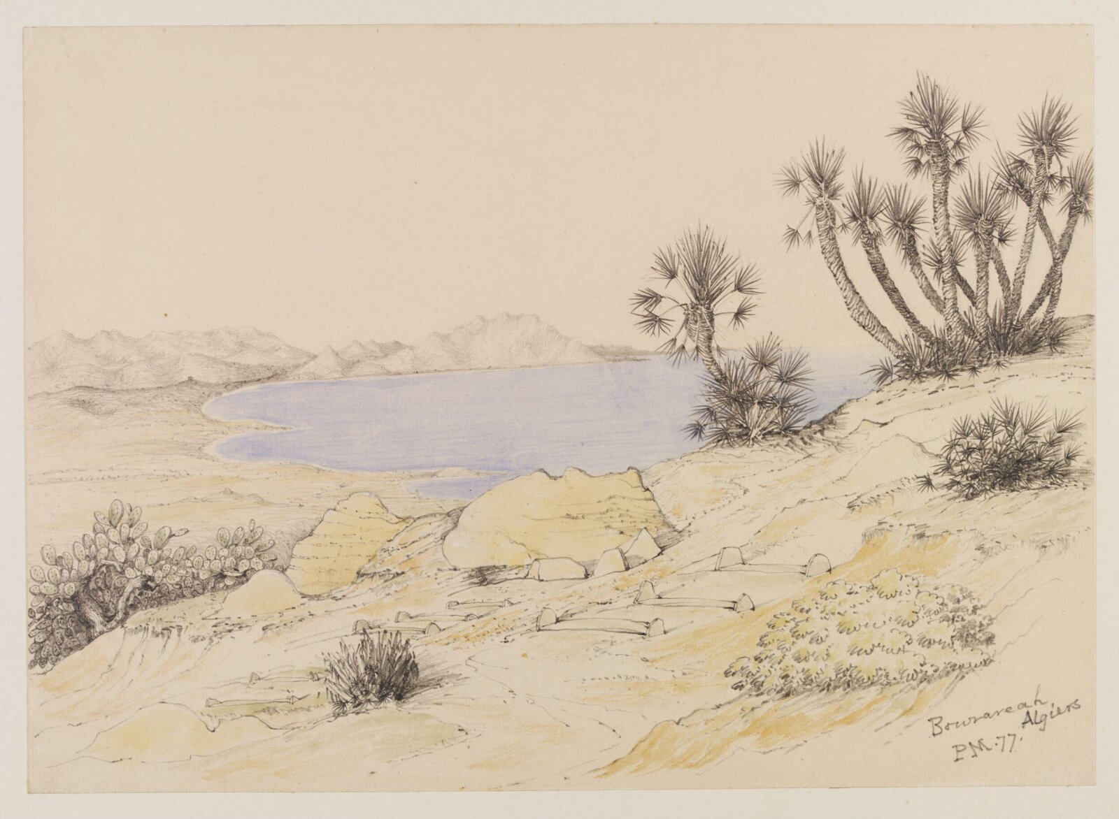 Bouzareah, Algiers, Peter William Skinner Miles, 1877