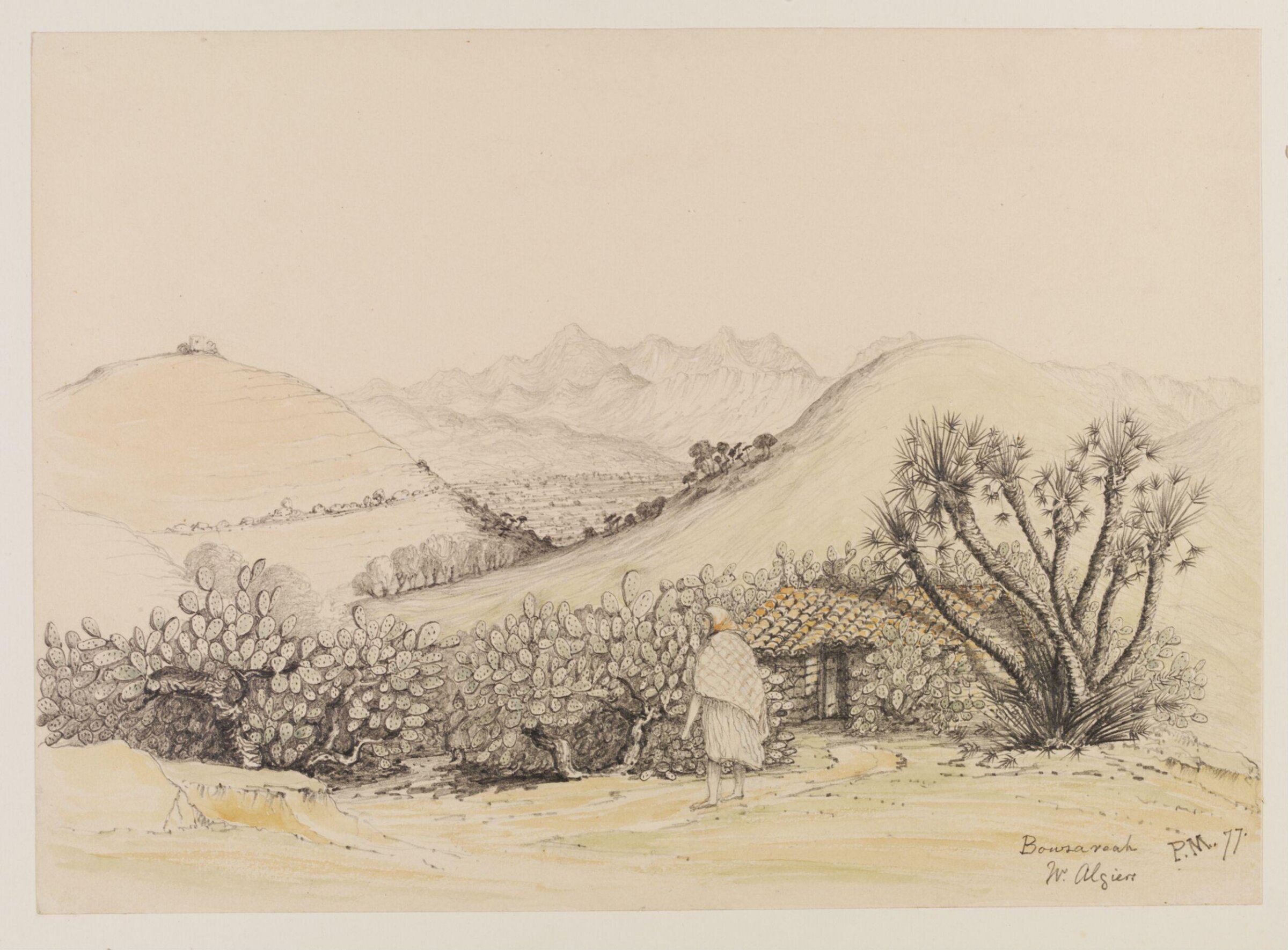 Bouzareah  W. Algiers, Peter William Skinner Miles, 1877