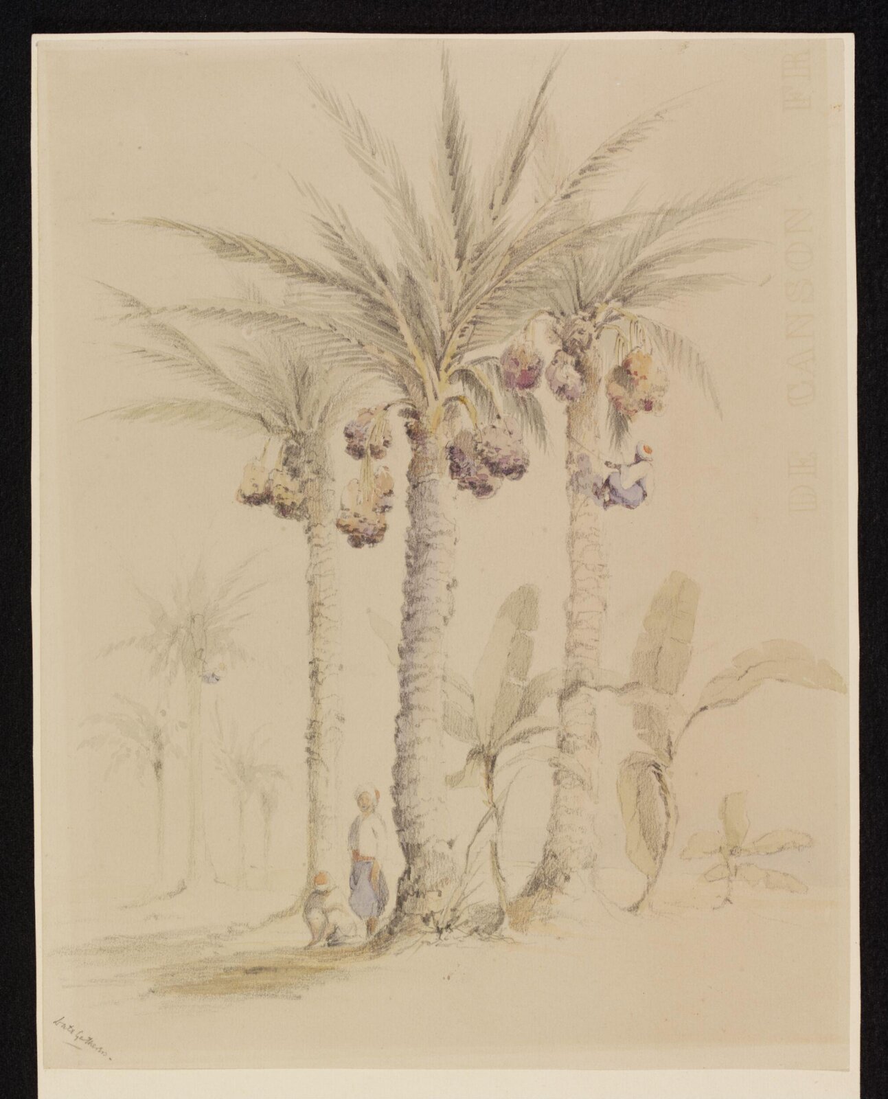 Date Gatherers, 1847