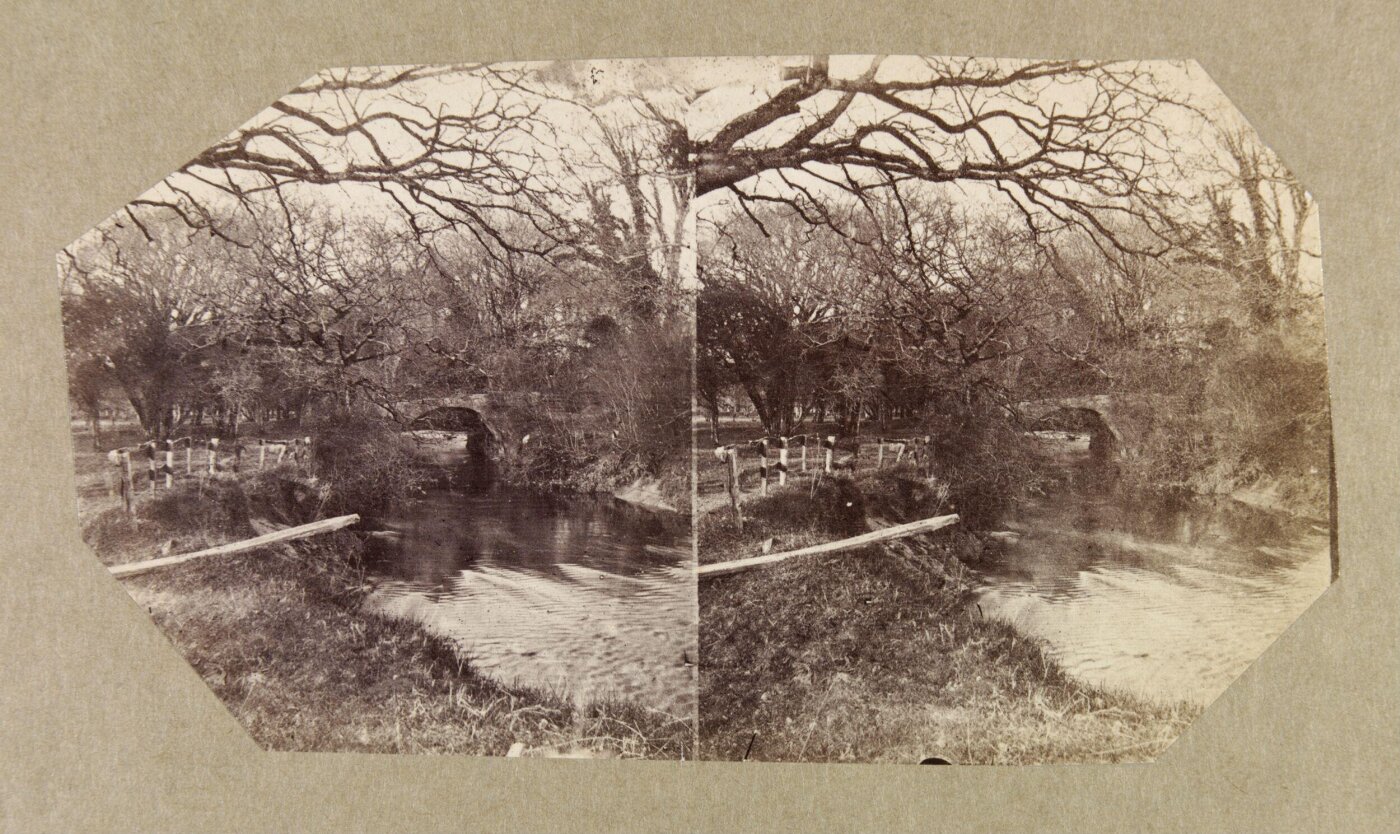 Clementina, Lady Hawarden, Photograph