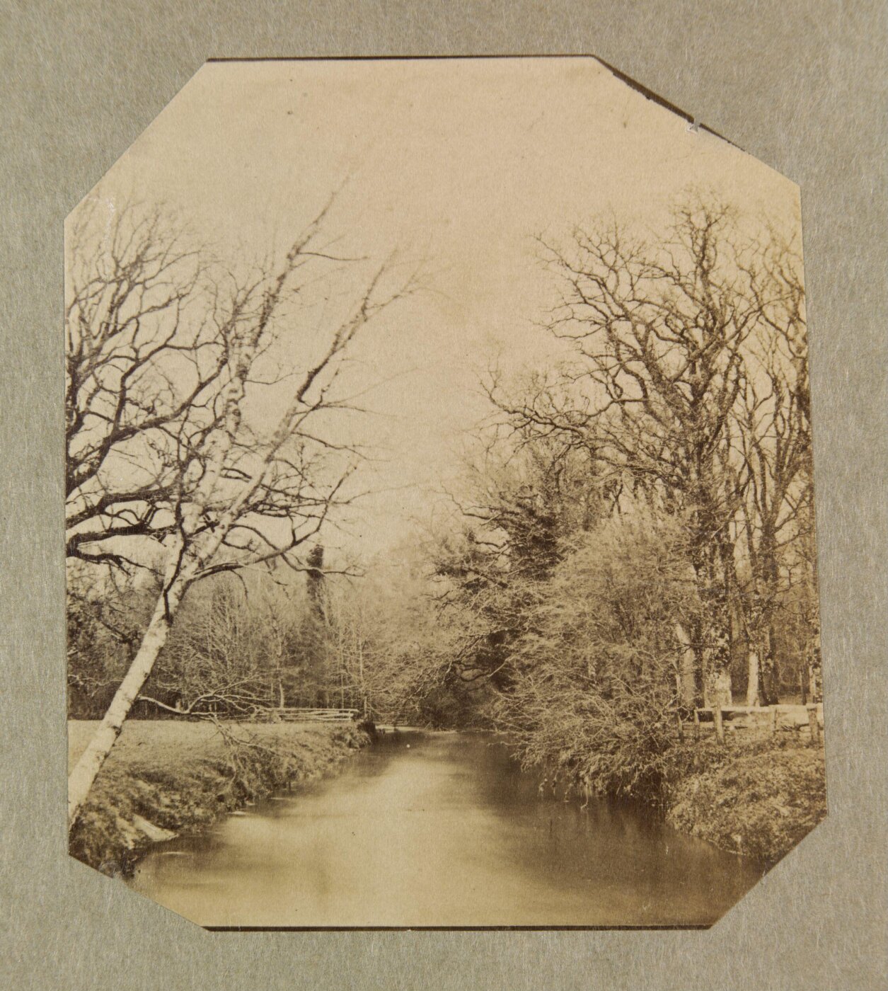 Clementina, Lady Hawarden, Photograph