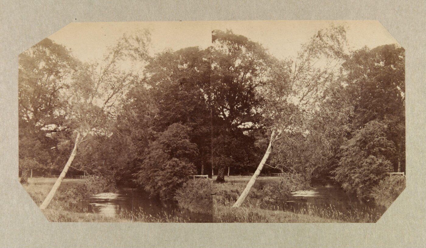Clementina, Lady Hawarden, Photograph