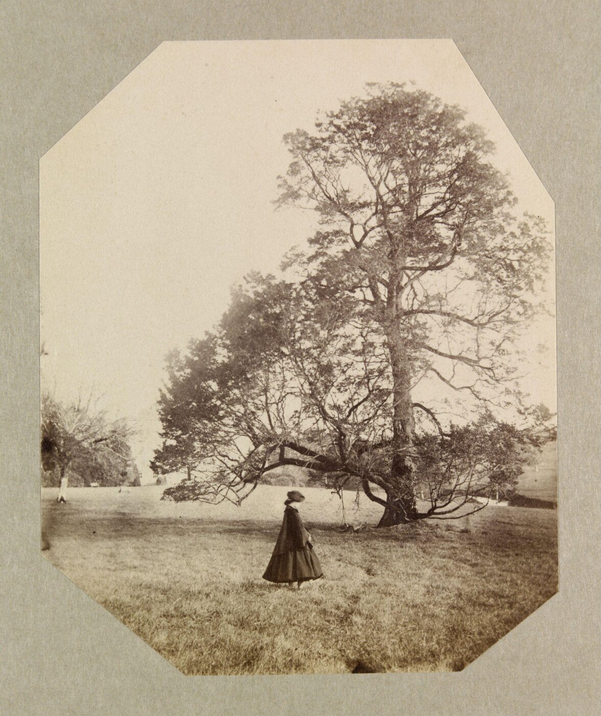 Clementina, Lady Hawarden, Photograph