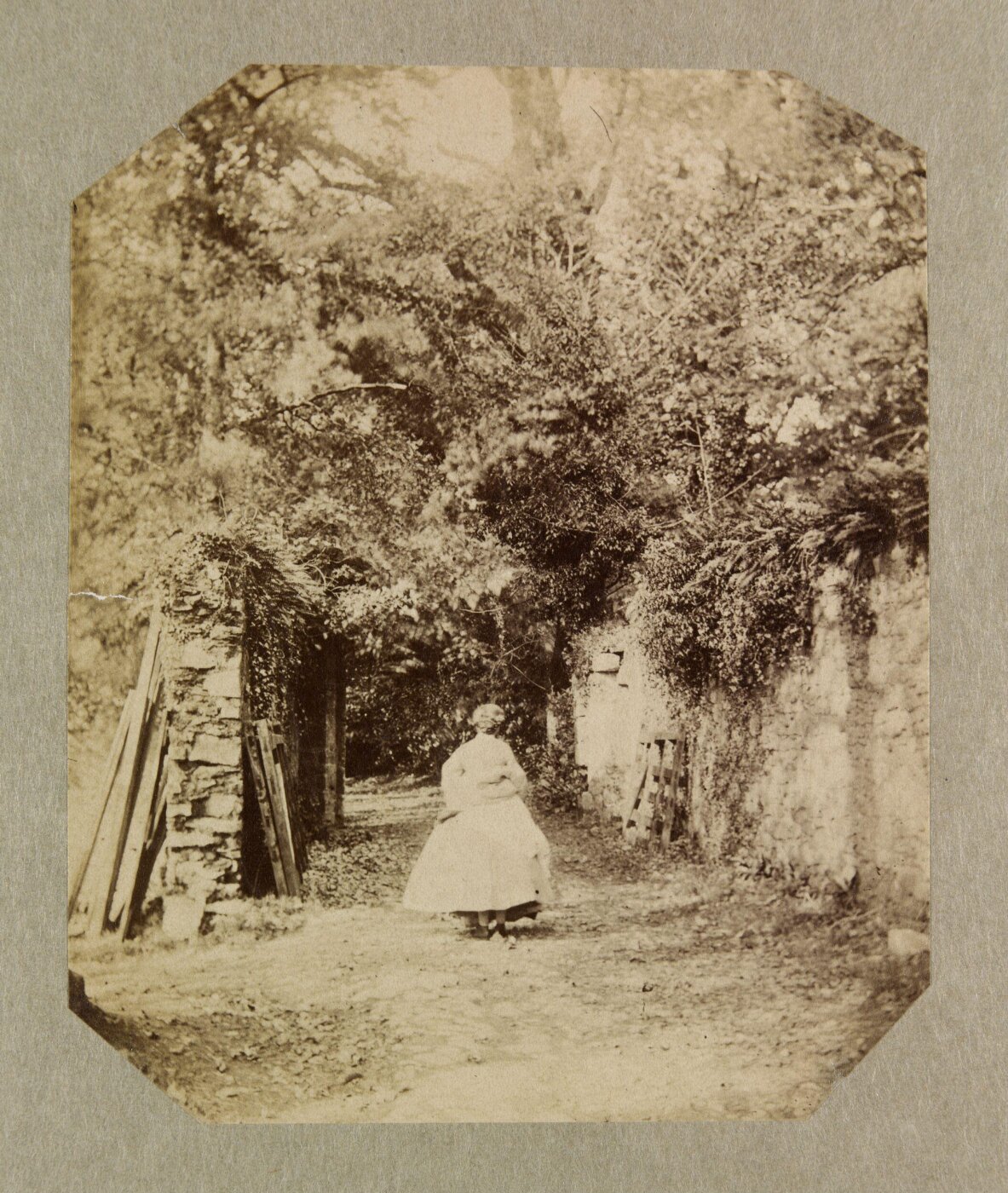Clementina, Lady Hawarden, Photograph