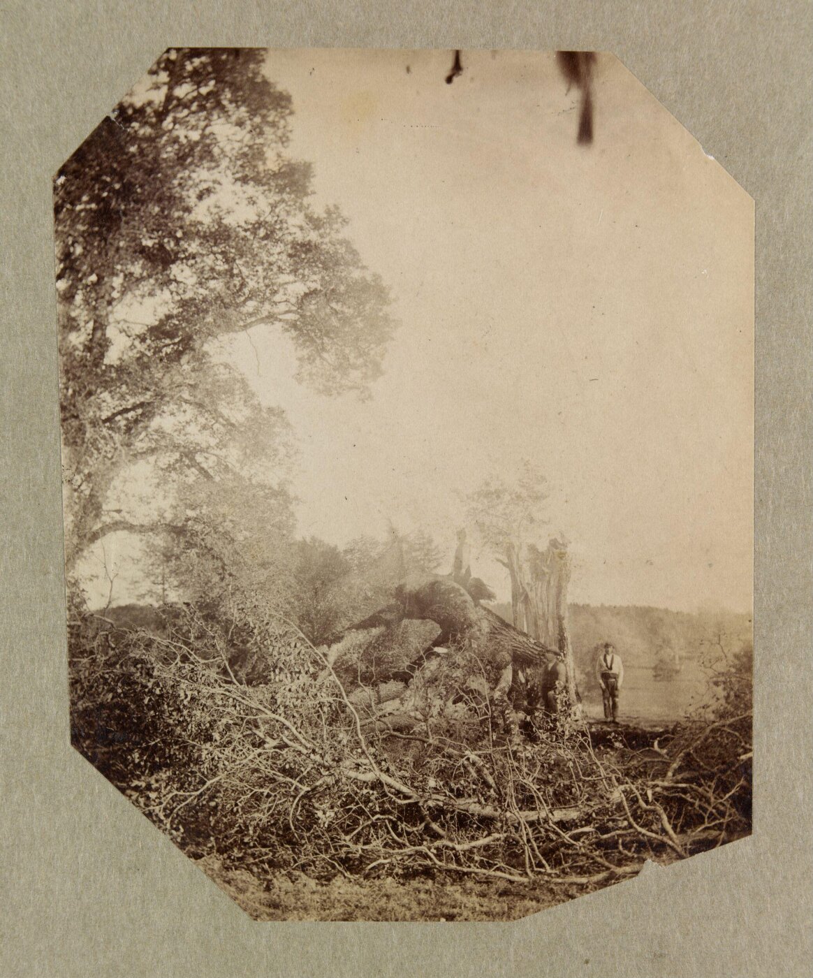 Clementina, Lady Hawarden, Photograph