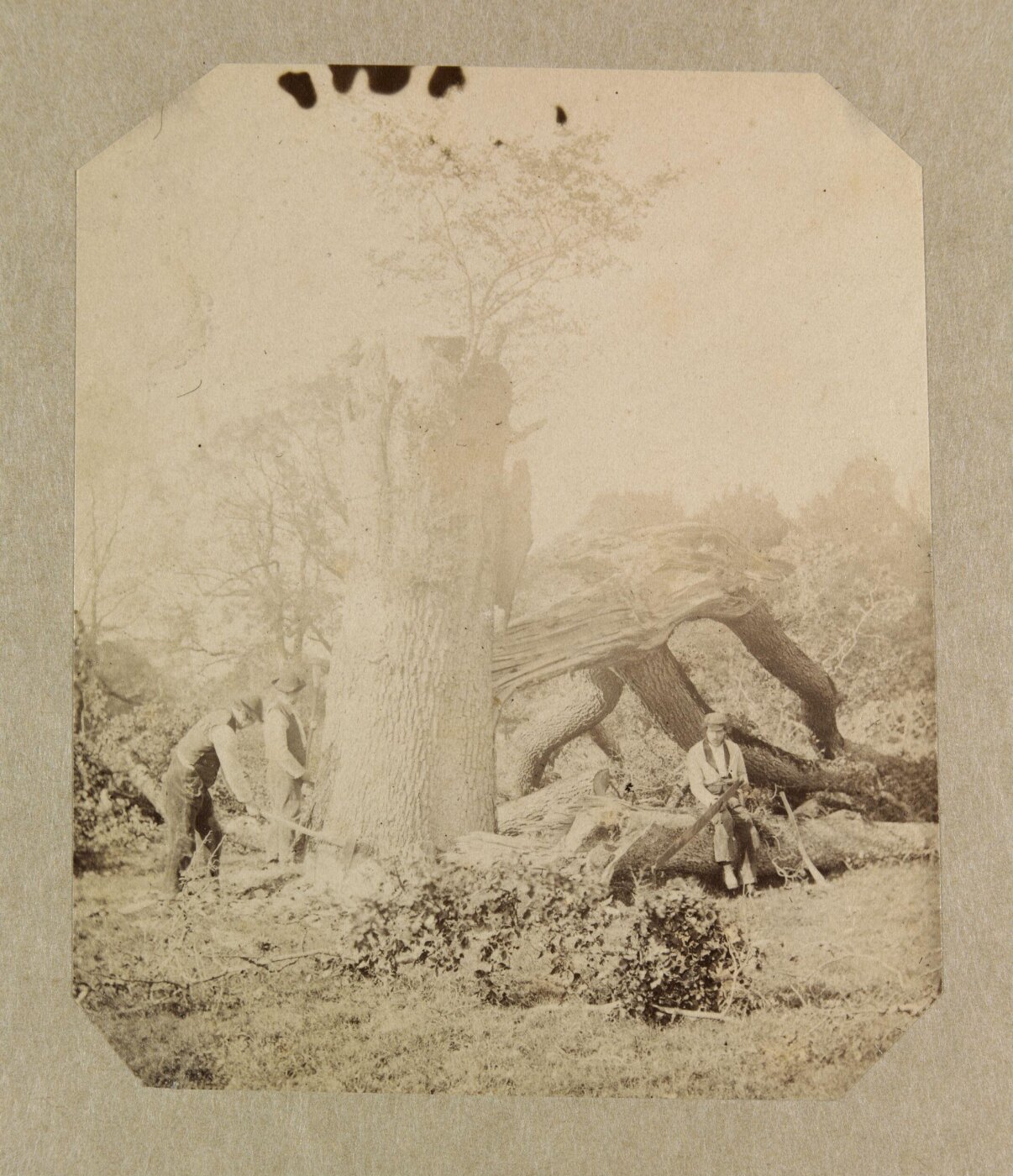 Clementina, Lady Hawarden, Photograph