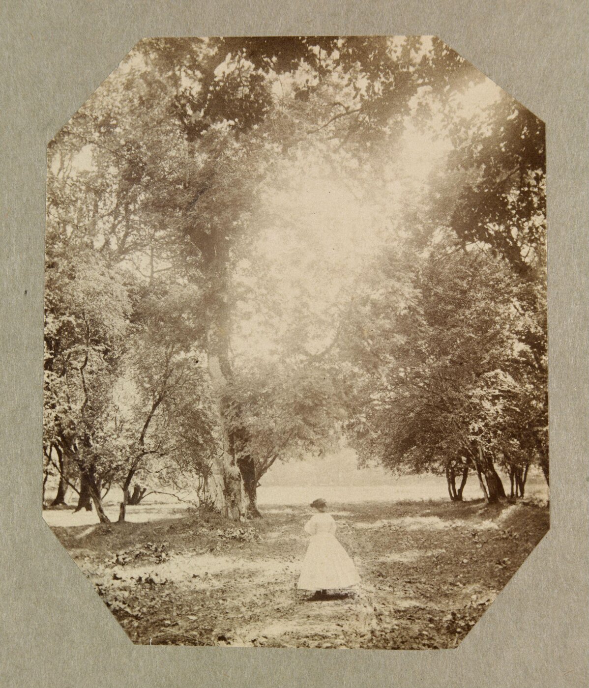 Clementina, Lady Hawarden, Photograph