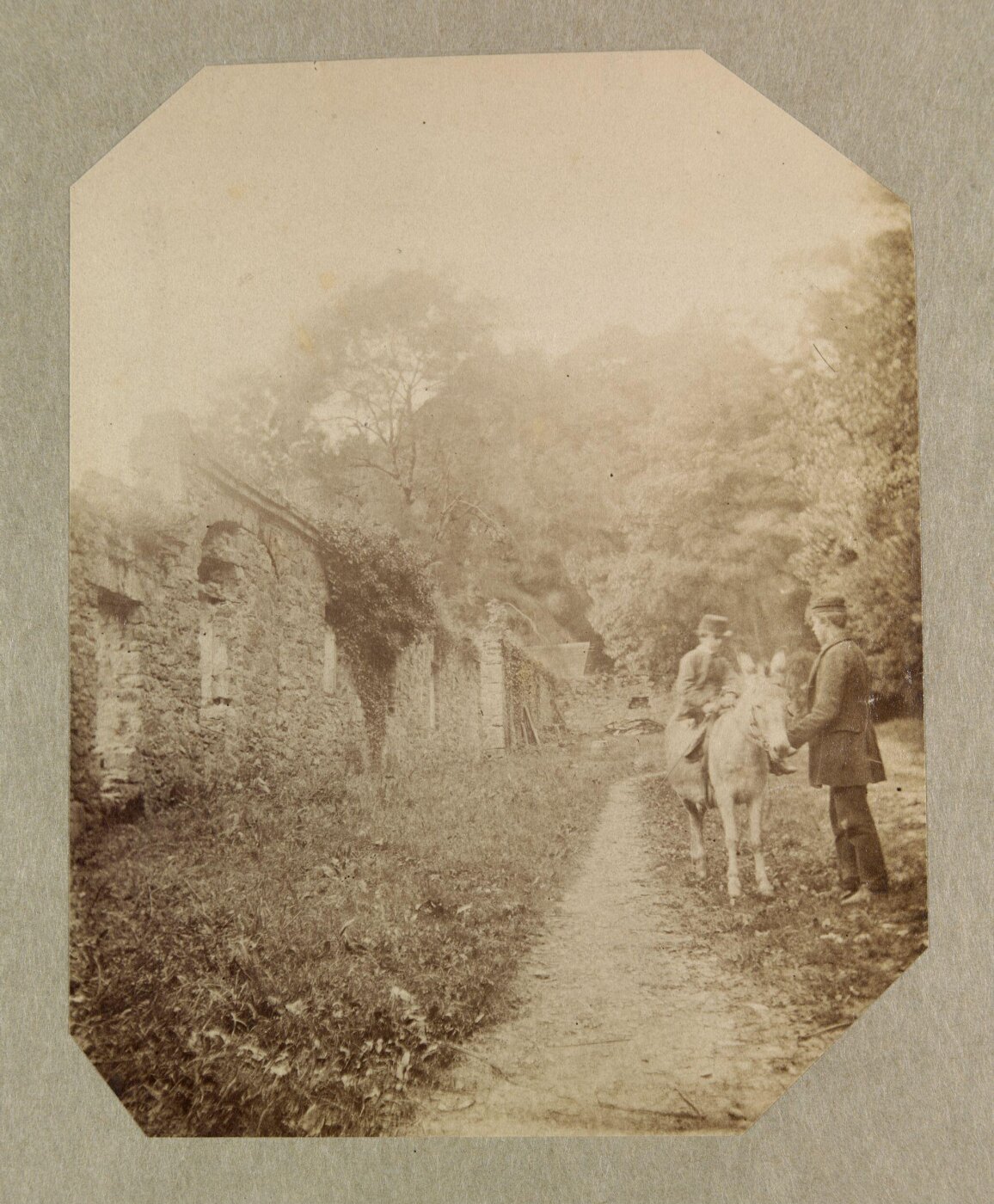 Clementina, Lady Hawarden, Photograph
