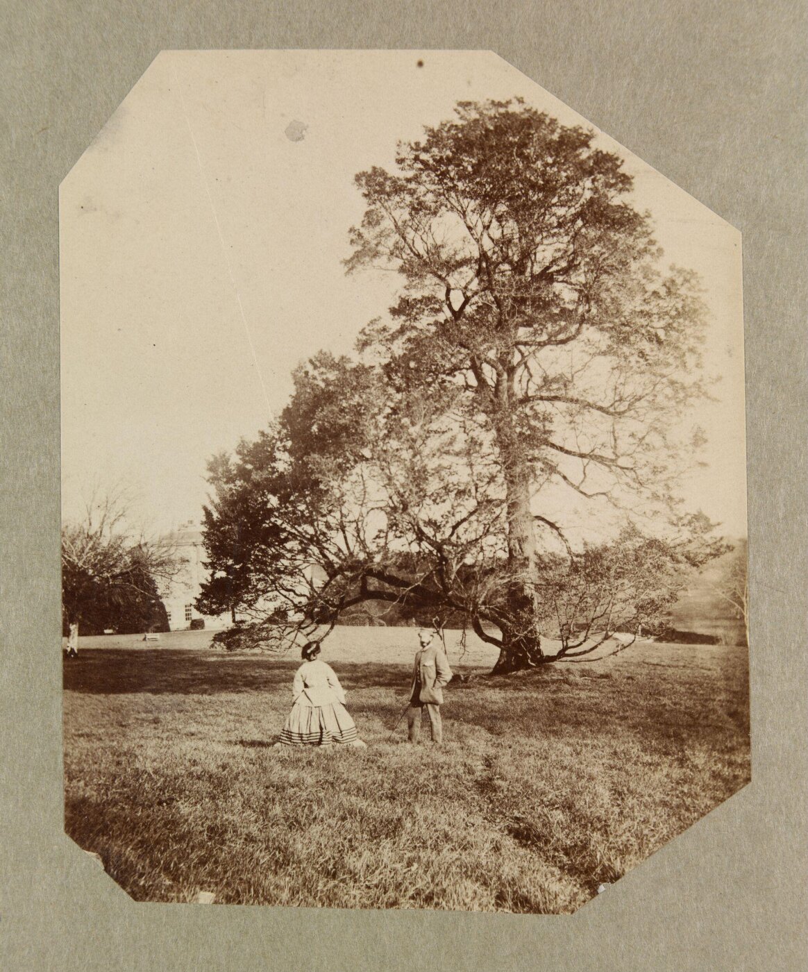 Clementina, Lady Hawarden, Photograph