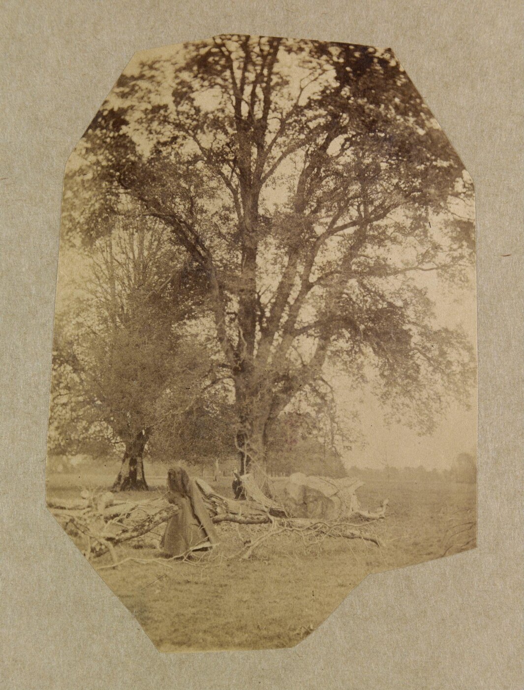 Clementina, Lady Hawarden, Photograph