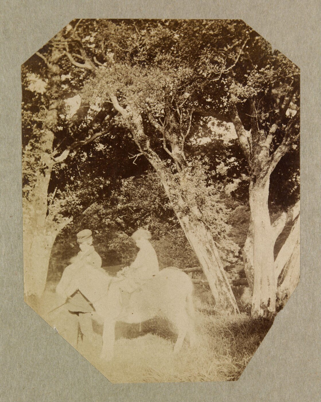 Clementina, Lady Hawarden, Photograph