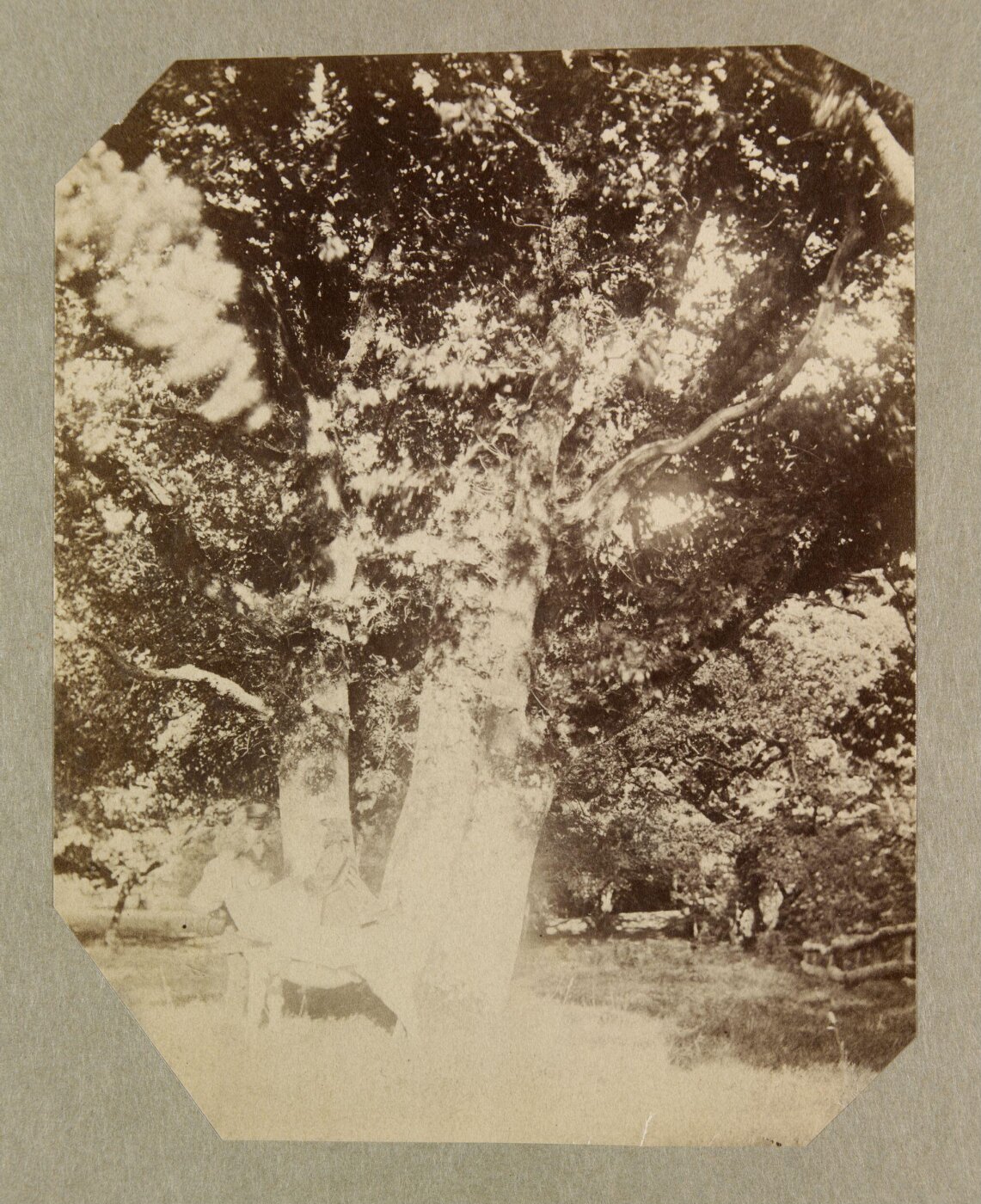 Clementina, Lady Hawarden, Photograph