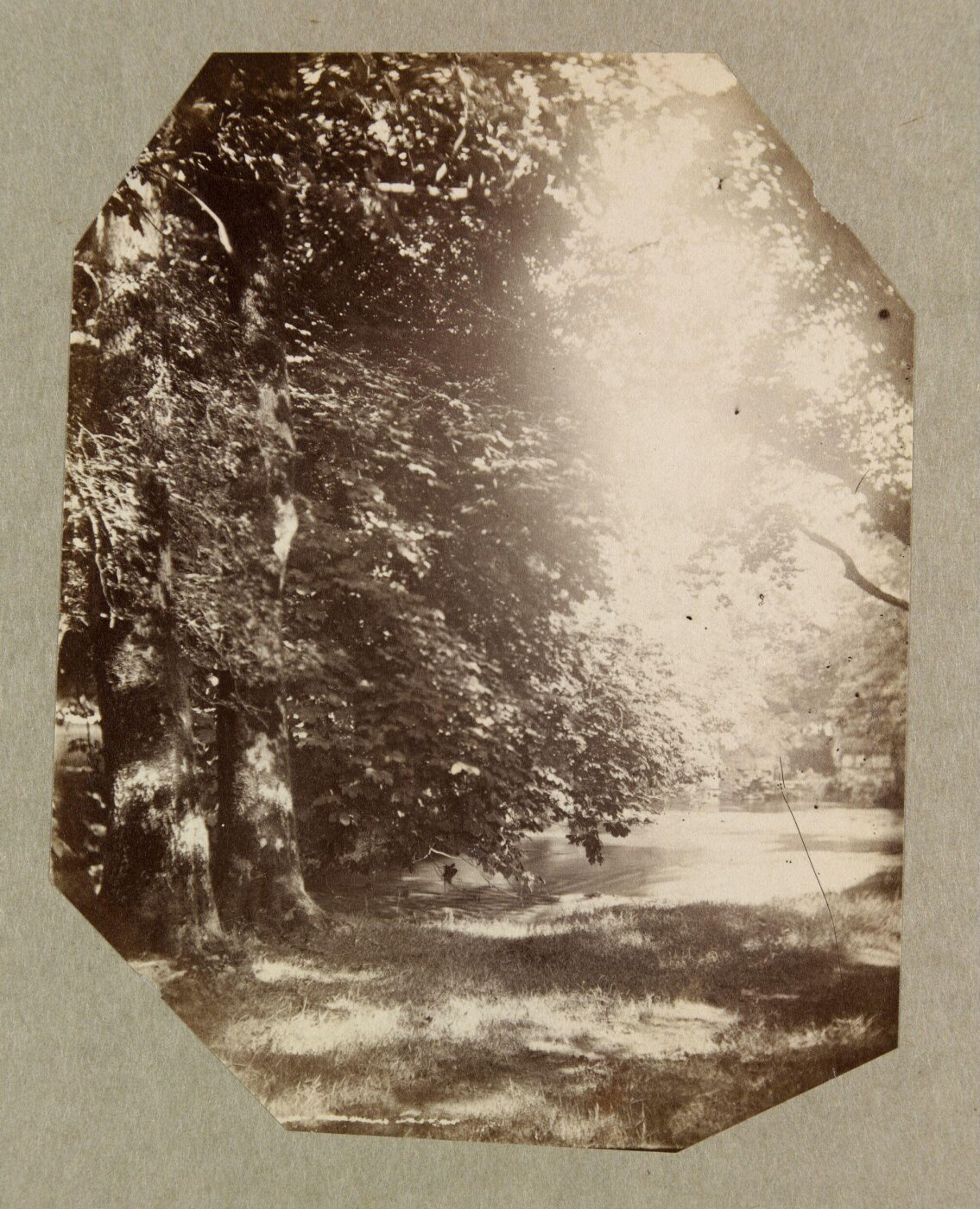 Clementina, Lady Hawarden, Photograph